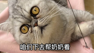 妈耶最终还是被我忽悠着帮忙看了红薯