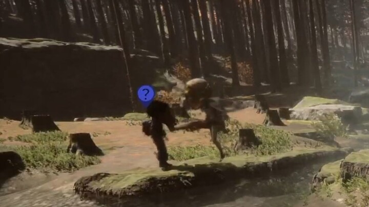 This is the most handsome kick I’ve ever seen in my life.