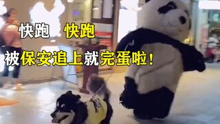 Is he chased and beaten by the cleaning lady every day? What has this flirty internet celebrity gian