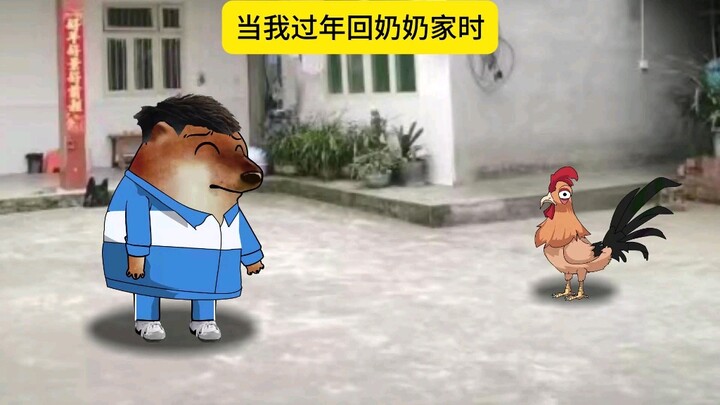 当我过年回奶奶家时