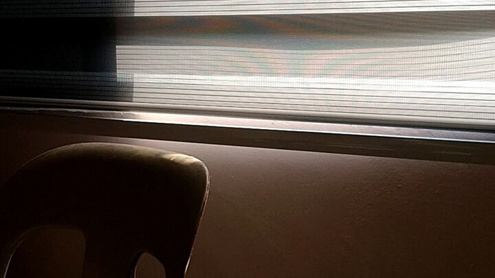 window blinds