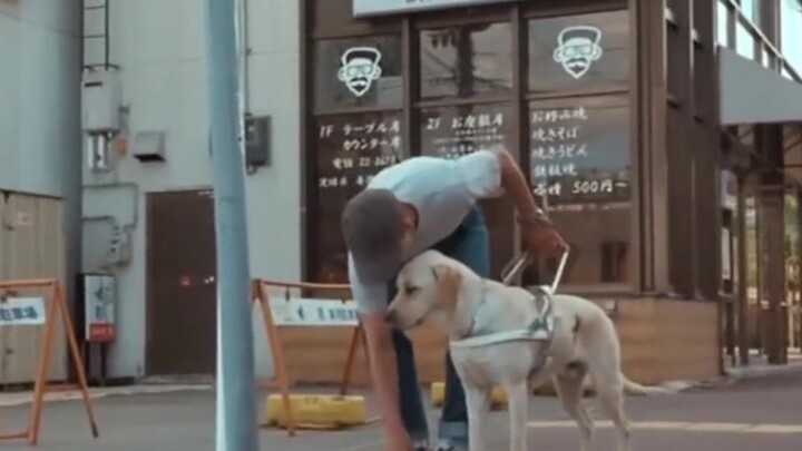 จากการถูกปฏิเสธสู่การยอมรับ สุนัขนำทางเสี่ยวคิวเป็นตัวแทนของความรักและความภักดี!