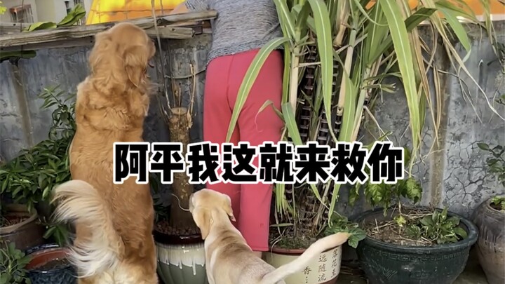 Một tai nạn bất ngờ ập đến đã khiến gia đình vốn đã không mấy khá giả lại càng thêm khốn khó