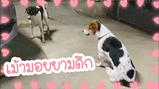 โลกของแสนดี ตอน กิจกรรมก่อนนอน