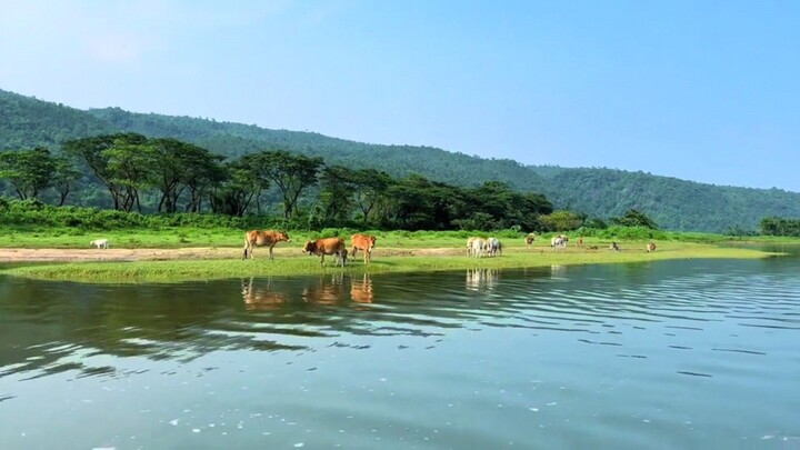 Nature you