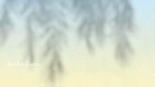 EPISODE 1 TAGALOG
