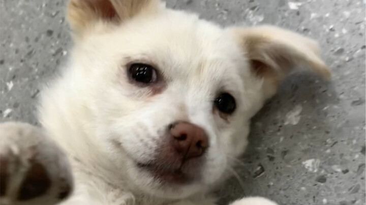 มีความรู้สึกไร้พลังอย่างอธิบายไม่ได้