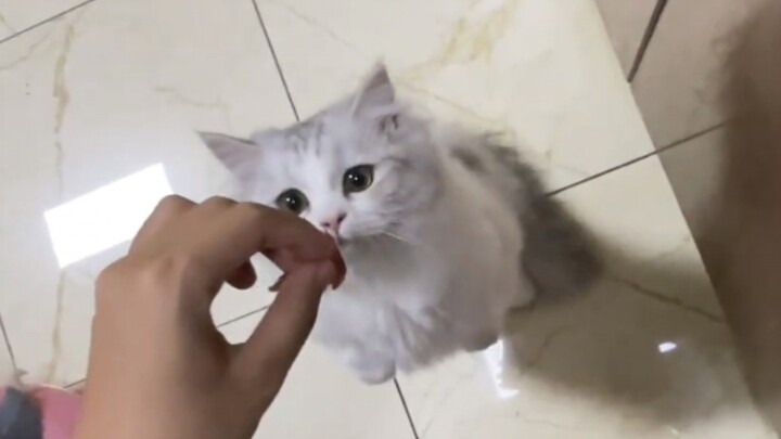 小孩贪吃怎么办