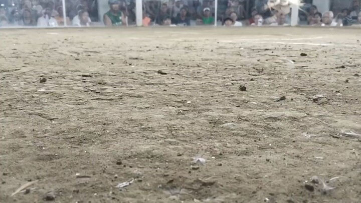 panalo white natin Walang sugat.