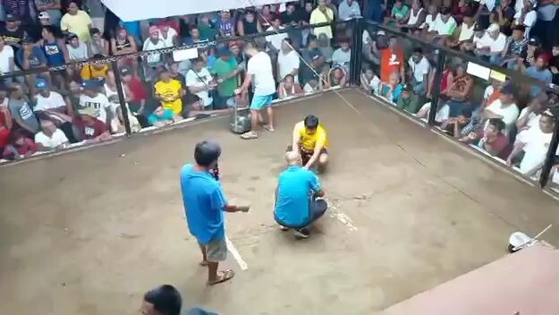 joe black 2xtimes winner