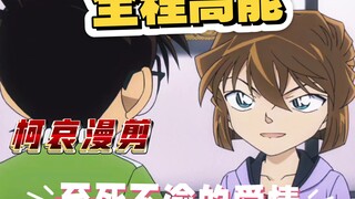 柯哀精彩漫剪，小情侣之间的互动就是甜！