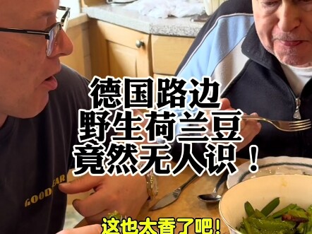 ถั่วลันเตาป่าขึ้นเต็มข้างถนนในเยอรมนี ทำไมไม่มีใครรู้จักกันนะ?! พ่อลูกชาวเยอรมันเปลี่ยนจากสงสัยเป็นต