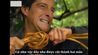 Review phim : Sinh Tồn Nơi Hoang Dã / Thử thách sinh tồn trong rừng / 2021