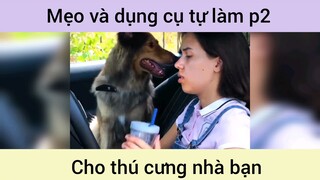 Mẹo và dụng cụ tự làm cho thú cưng p2