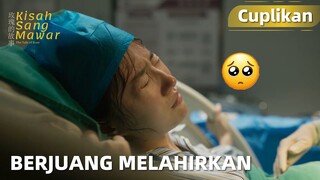 The Tale of Rose | Cuplikan EP24 Kok Bisa Punya Mertua Begini?! | WeTV【INDO SUB】