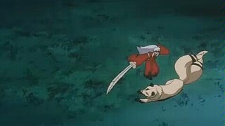 当初真是被这只傻狗笑死啦