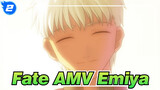 [Fate AMV / Stories of Ten Years Later] The Red Heroic Spirit Named Emiya_2