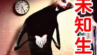 Giường giả? Sinh vật không đầu? Đài tưởng niệm bí ẩn? Tuyển tập kỳ lạ!