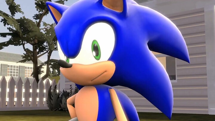 KOMPILASI SONIC FANDUB INDONESIA BY @MrCoolimation