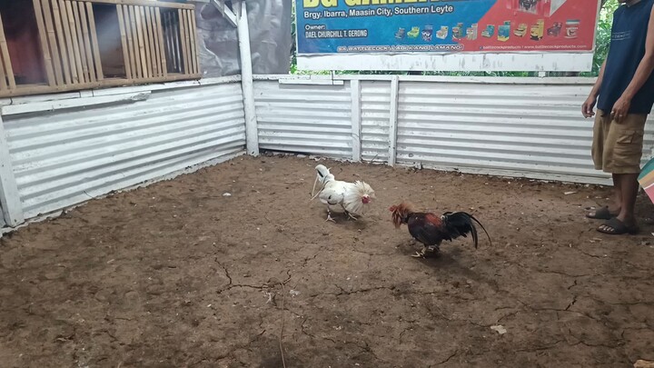 august 17, 2025 sparring session