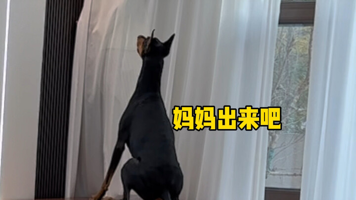 Bạn cùng trang lứa đã sinh con thứ hai rồi, còn tôi thì vẫn đang chơi trốn tìm với chó.