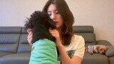 [ENT] Hwang Yeji và những chú chó