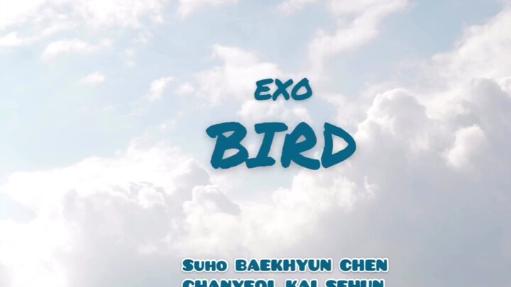 [EXO] Chinese Subs | Japanese New Single “Bird” Audio Premieres 191009