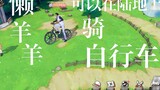 What! Lazy Sheep's Aokiji can actually ride a bicycle on the grass. That's right, today Lazy Planner