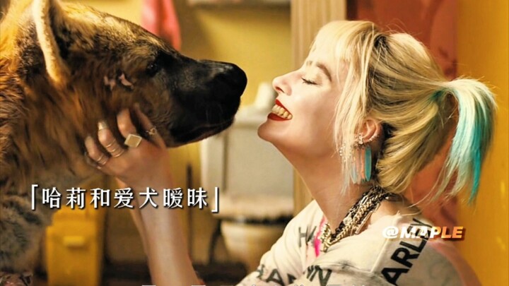 Betapa sedihnya Harley setelah kehilangan anjing kesayangannya, Bruce!