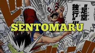 SENTOMARU ONE PIECE 🔥🔥🔥