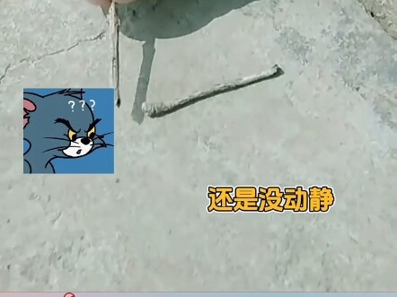 ไอ้บ้าเอ๊ย ตกใจหมด #ไม่ทันตั้งตัว #คาดไม่ถึงจริงๆ #เวทีรางวัลวิจารณ์บันเทิง