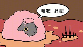 Mr. Dolly disapproves of mutton hotpot