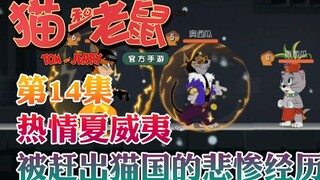 Onima: Tom and Jerry mobile game Passionate Hawaii tells about his tragic experience of being kicked