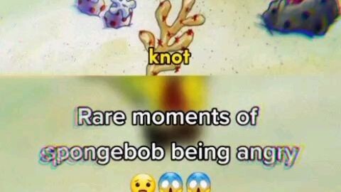 SpongeBob SquarePants being angry all the time