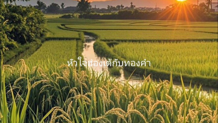 ฮ่องเต้กับทองคำ