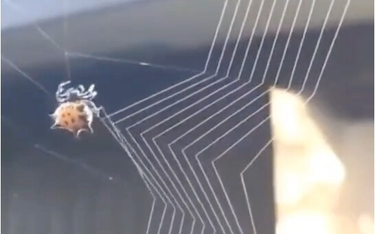 Trong tự nhiên, độ cao quả là một kiến trúc sư đẳng cấp!