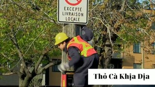 Chơi khăm xem phản ứng của mọi người phần 22 #thobiettroll