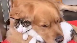 يا إلهي، أي صداقة خارقة هذه! إنها دافئة جدًا!