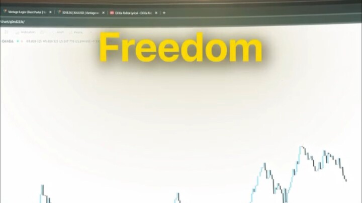 FOREX king
