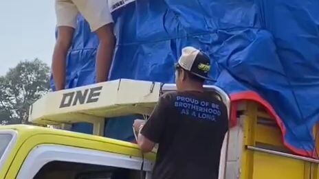 allas roban @rea