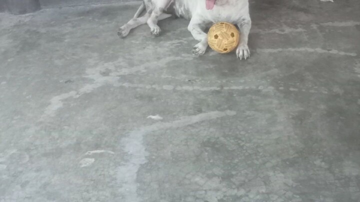 เกม