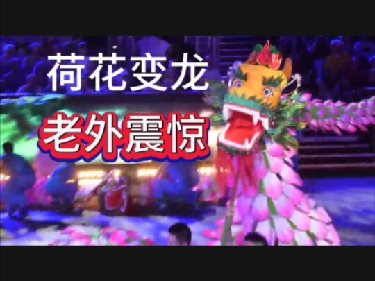 荷花变龙！惊艳外国人！浙江湖州长兴百叶龙国外表演演出！舞龙表演震撼外国友人！