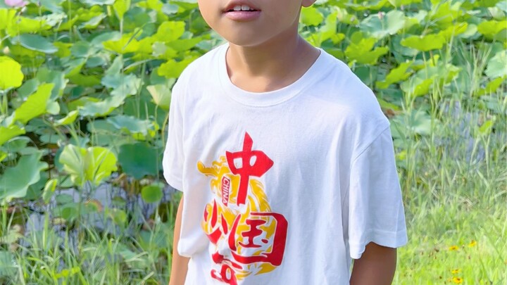 Lá sen mới nhú đầu nhọn, đã có chuồn chuồn đậu trên đó.