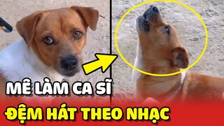 Chú chó với đam mê làm CA SĨ,  HÁT THEO NHẠC không lệch tông nào 😂 | Yêu Lu