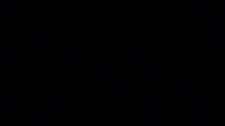 TOP ANIMAL IN THE WORLD