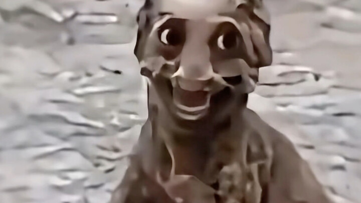 Giáo viên nước ngoài: Con chó nhà ai mà lớn được thế này vậy?