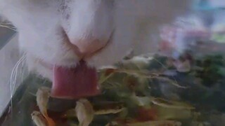 Ngẫu nhiên chọn một khán giả may mắn