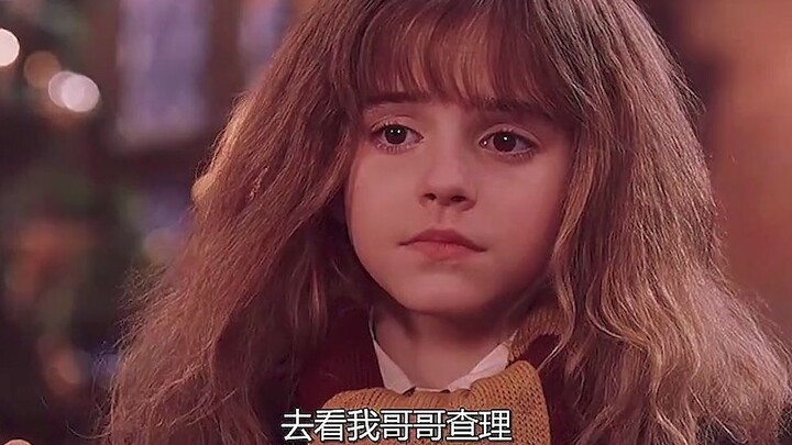 From a young age, the proud and snobbish Hermione ultimately chose the clumsy but genuine Ron, rathe
