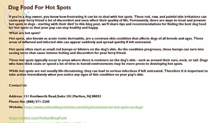 Dog Food For Hot Spots
