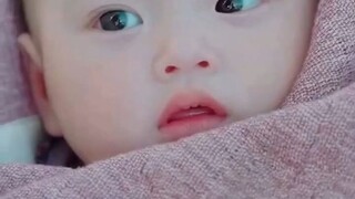 [เต็มเรื่อง]แม่คนจนช่วยเด็กไร้พ่อแม่ตายเกือบตาย พบพลังพูดคุยกับสัตว์